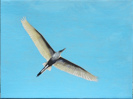 EgretInFlightSkyBlue