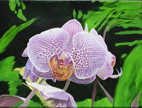 OrchidRawley