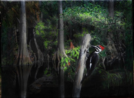 PileatedWoodpeckerRawley