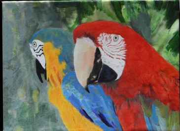 2parrots