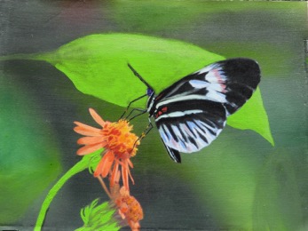 PianokeyButterflyRawley